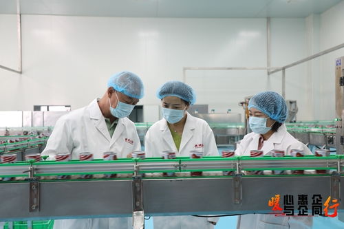 甘肃临泽 一企一策强链条，梯度培育汇集群